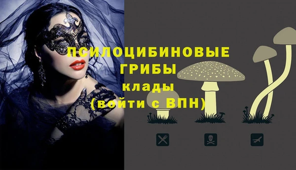 твердый Бугульма