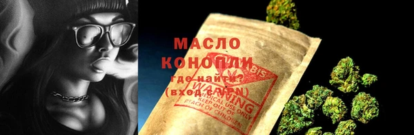 амф Бородино