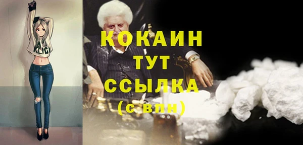 амф Бородино