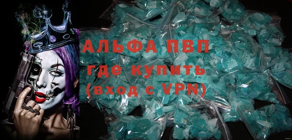 амф Бородино