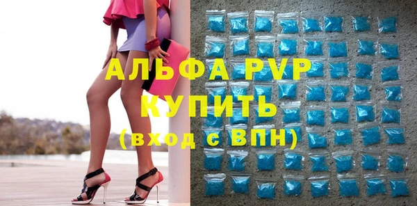 амф Бородино