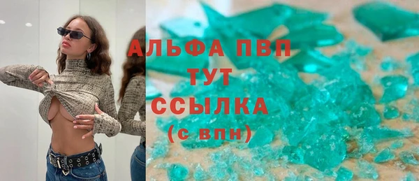 амф Бородино