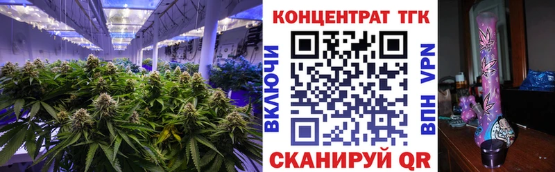 где продают наркотики  Санкт-Петербург  Дистиллят ТГК концентрат 